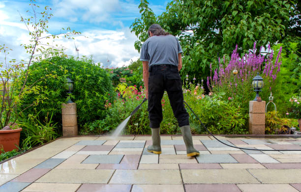Best Fence Cleaning  in Lewistown, MT